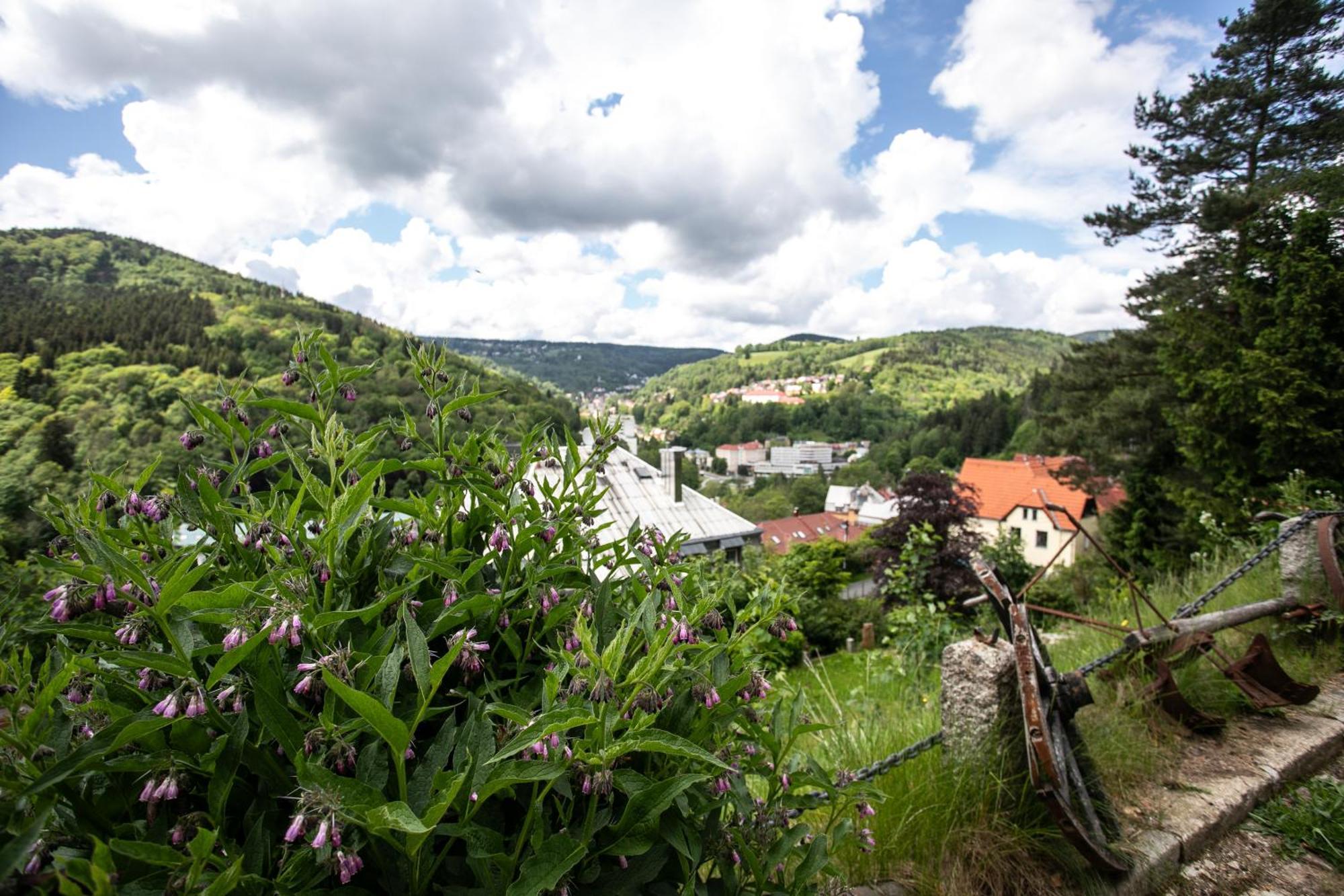Hotel Panorama Jachymov Luaran gambar